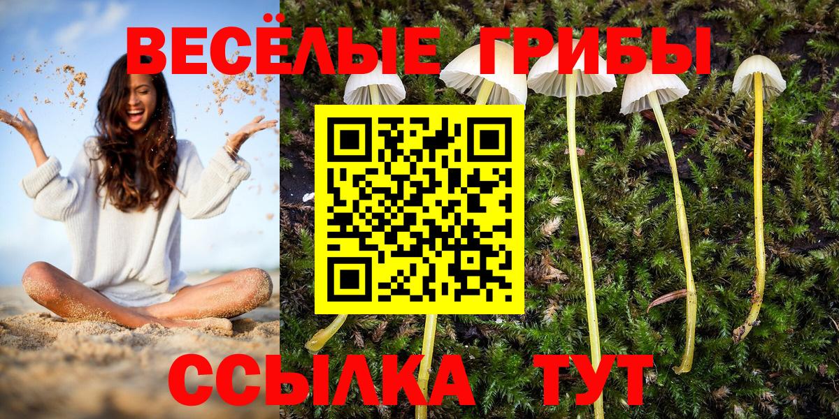 Зеленокумск  сколько стоит  Вход с VPN  Галлюциногенные грибы мухоморы 